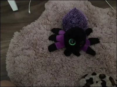 Comment ce Beanis Boos s'appelle-t-il ?