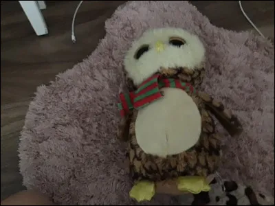 Comment ce Beanis Boos s'appelle-t-il ?