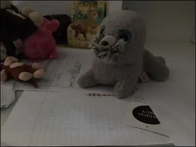 Comment ce Beanis Boos s'appelle-t-il ?