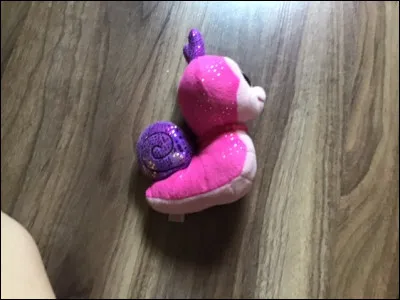 Comment ce Beanis Boos s'appelle-t-il ?