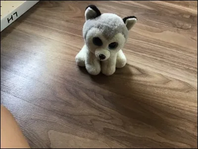 Comment ce Beanis Boos s'appelle-t-il ?