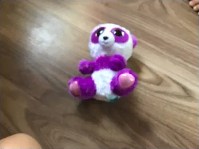 Comment ce Beanis Boos s'appelle-t-il ?