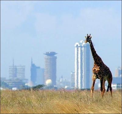 De quel pays Nairobi est-elle la capitale ?