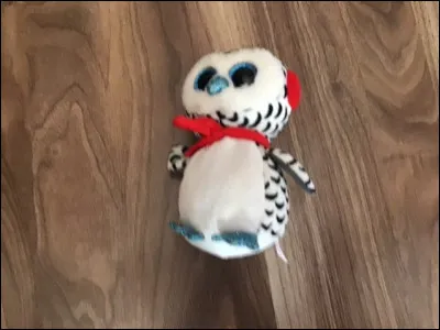 Quel est le nom de ce Beanie Boos ?
