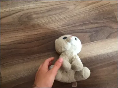 Quel est le nom de ce Beanie Boos ?