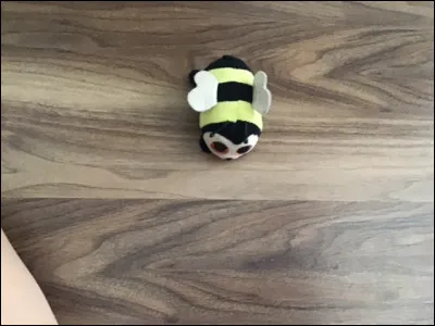 Quel est le nom de ce Beanie Boos ?