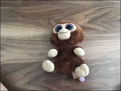 Quel est le nom de ce Beanie Boos ?