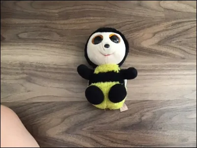Quel est le nom de ce Beanie Boos ?