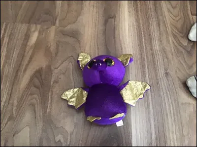 Quel est le nom de ce Beanie Boos ?