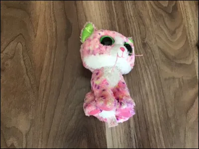 Quel est le nom de ce Beanie Boos ?