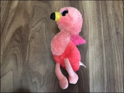 Quel est le nom de ce Beanie Boos ?