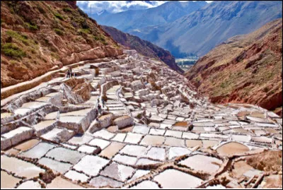 Quel est le nom de ces salines péruviennes millénaires, composées de plus de 4 000 bassins à plus de 3 000 m d'altitude ?