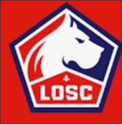 Quelle est cette équipe ?