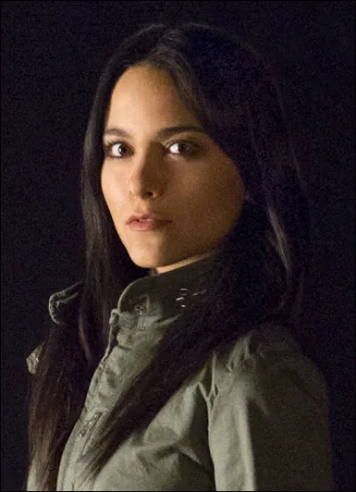 Quel est le nom de l'ancien agent du S.H.I.E.L.D qui a le visage de May ?