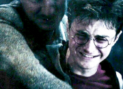 Quiz Harry Potter : [TOP 10] Les personnages avec une vie de m***** (misère)