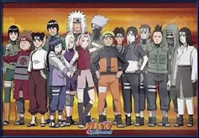 Quel style de combat pr&eacute;f&egrave;res-tu ?