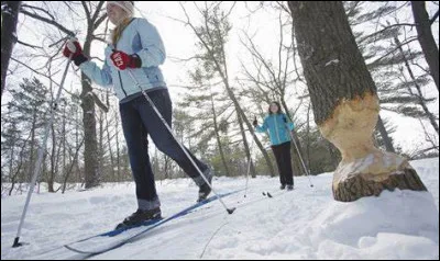 Elle n'est pas née en hiver, c'est :