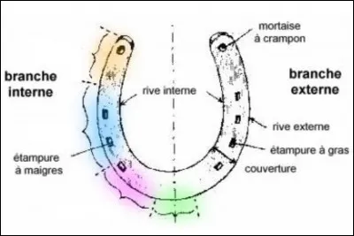 Comment se nomment la partie verte (1) et la partie bleue (2) du fer à cheval sur l'image ci-dessus ?
