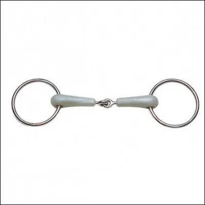 Comment appelle-t-on le mors ci-dessus ?