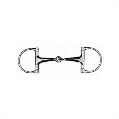 Comment appelle-t-on le mors ci-dessus ?