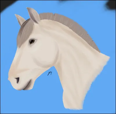 Parmi ces propositions, quelle partie du corps ne fait pas partie de la tête du cheval ?