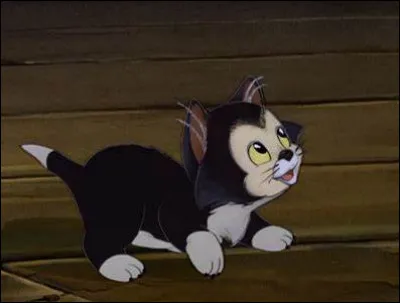 Dans quel film aperçoit-on ce chat nommé Figaro ?