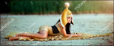 Qui est cette divine épouse de Ramsès II ?