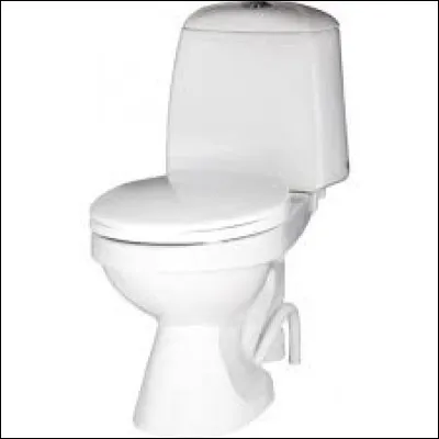 Vas-tu aux toilettes dans une journée ?