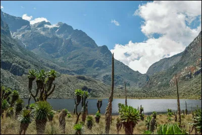 Le refuge Quintino Sella, dans le massif du Mont Rose, fut ainsi nommé en l'honneur de l'homme du même nom, homme politique et fondateur du Club alpin italien en 1863. Son neveu, Vittorio Sella, est considéré comme l'un des plus grands photographes de montagne de l'histoire, en plus d'être un grimpeur talentueux. Quel célèbre alpiniste ce dernier accompagna-t-il dans sa conquête du Rwenzori ?