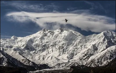 Au coeur des ambitions allemandes dans les années 30, le Nanga Parbat, la Montagne du Destin, sera le théâtre d'une des grandes tragédies de l'alpinisme en 1934. Une équipe austro-hongroise sera prise au piège dans une tempête d'une violence inouïe, causant la mort de neuf personnes. Il faudra attendre 1953 pour que le Nanga Parbat soit enfin conquis. Qui fut le premier homme au sommet ?