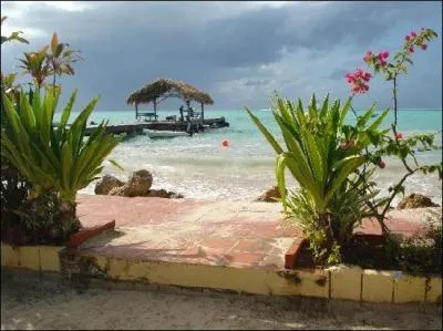 Quel Etat antillais doit son nom  deux les commenant par un T ?