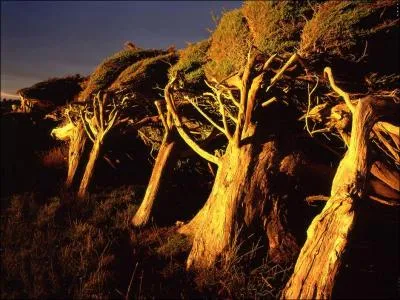 Lequel de ces archipels existe vraiment aux Antilles ?