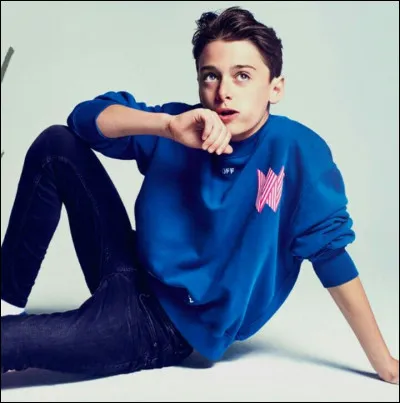 Es-tu fan de Noah Schnapp ?