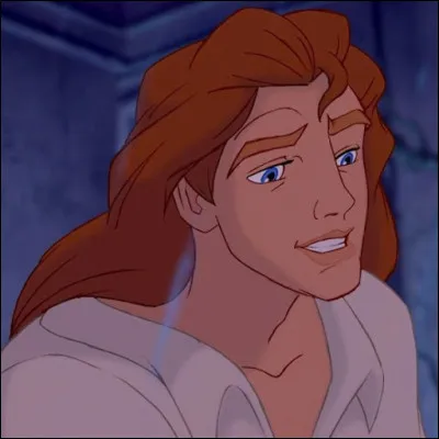 Quel âge est censé avoir le Prince Adam, dans le dessin animé, quand l'Enchanteresse lui lance la malédiction dans "La Belle et la Bête" ?