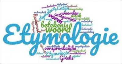 Quelle est l'étymologie du mot ?