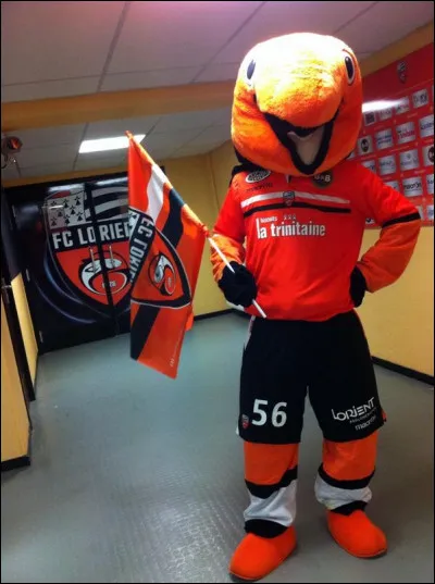 Quel est le nom de la mascotte du FC Lorient ?