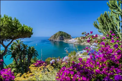 Est-elle la ville la plus peuplée du pays ?