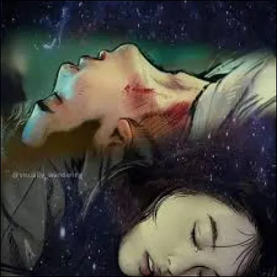 Le personnage principal a failli mourir plusieurs fois et de différentes façons. Quelle façon de mourir n'a-t-elle pas été observable dans ce drama pour ce personnage ?