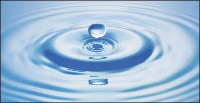 Quel est cet élément ?