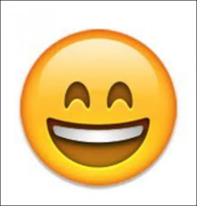 Comment appelle-t-on une vidéo où l'on fait une blague ?