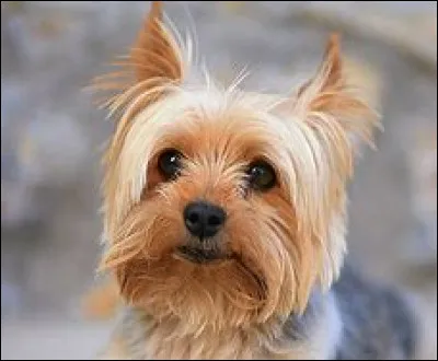 Combien de temps serait-il tout seul ?