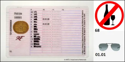 Vie pratique : 
Sur votre permis de conduire, celui qui a pris la forme dune carte de crédit, il existe une ligne numéro 12 nommé « code ».
Que signifient cette ligne et surtout, ce terme « code » ?