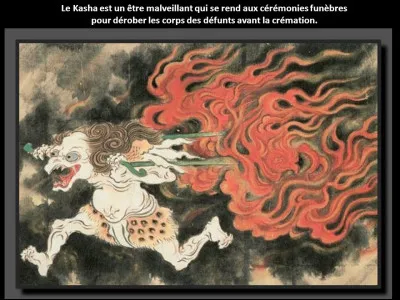 Alors lui, non seulement il est moche, mais en plus il a mauvais caractère, son truc à lui c'est de voler les cadavres, sympa non ?