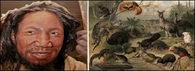 Réfléchissez, déchiffrez et obtenez un mot en rapport avec [...].