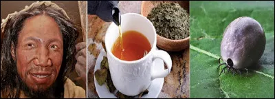 À quel domaine est lié le mot issu de ce rébus ?