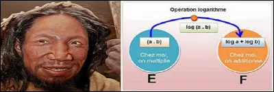 Qui a la même forme.