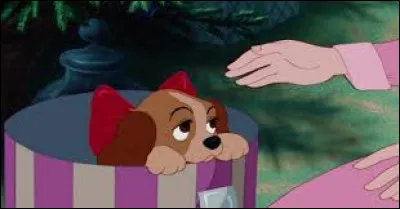 Dans "La Belle et le Clochard", quelle est la couleur du collier de Lady ?