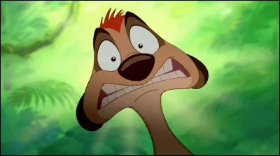 Dans cette phrase « Pumba, quand quelqu'un nous confie une mission, on ne s'assoit pas dessus ! », qui est la mission ?