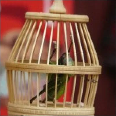 Ma grand-mère m'offre au début du film un criquet, porte-bonheur très courant en Asie orientale !