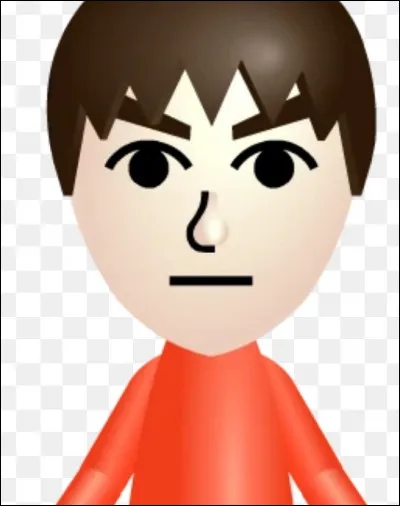 Peut-on jouer avec des Mii dans ce jeu ?